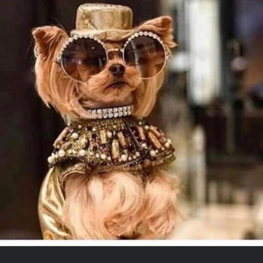 🎁🎁🎁 REVIEWS 🎁🎁🎁